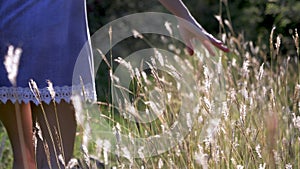 The girl walks through the meadow and hand through the grass