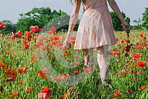 A girl walks in a poppy field