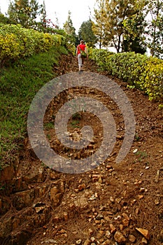 Girl Walks up Steep Rocky Path