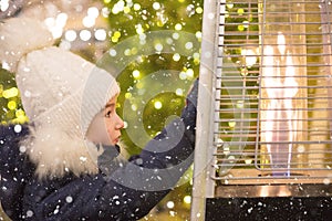Girl in a warm hat looks at the flame of a gas burner warming at a Christmas market in the city, warms your hands. lights of