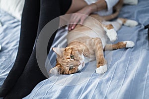 Girl with warm socks with a cup of tea, cat, close the book