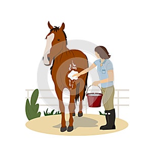 Girl washing horse. Pet care. Horse riding. Equestrian Sport. Isolated Vector Illustration on a flat style. Realistic