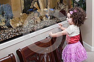 Girl watching fish in aquarium photo