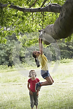 Girl Watching Friend Hanging From Tree