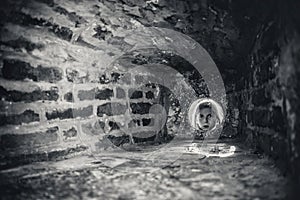 Girl watching through round window