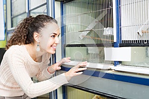 Girl watching singing birds in petshop