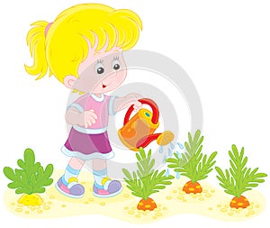 Girl watering carrots