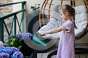 A girl watering hydrangeas on the balcony