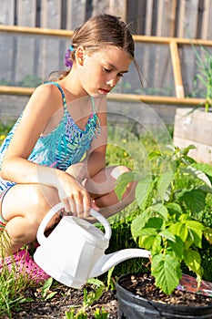 Girl Watering Plants