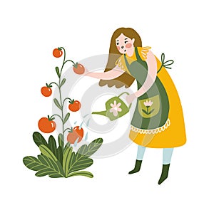 Girl watering tomato with watering can. Young Woman Working in Garden or Farm. Vector Illustration isolated