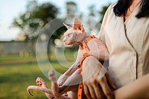 Girl wear mask hold hairless cat by arms outside, summer time with greens