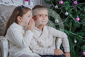 Girl whispered to her brother what to ask for Santa