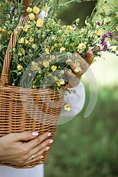 A girl in a white blouse holds a wicker basket with a bouquet of wild flowers. Summer walk in the field. midsection