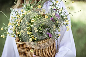 A girl in a white blouse holds a wicker basket with a bouquet of wild flowers. Summer walk in the field. midsection