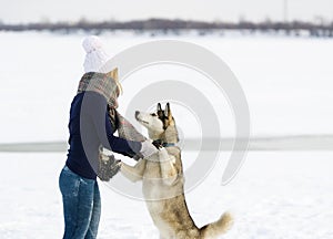The girl in a white cap and Siberian huskies