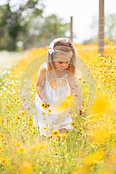 Girl in a white dress picking flowers in a black eye Susan flower field.