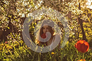 Girl in white dress smelling tulip in sunset, dandelions and cherry flowers