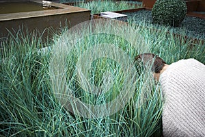 Girl in a white sweater stuck her head in artificial grass