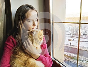 Girl window with a red cat home, fur, blonde