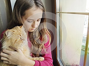 Girl window with a red cat home, fur, blonde friendship