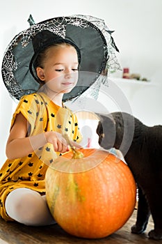 Girl in witch halloween costume sitting on a table playing with pumpkin and her pet cat. Halloween lifestyle concept.