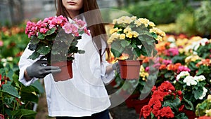 Girl in work clothes holding two pots in hands inside the greenhouse