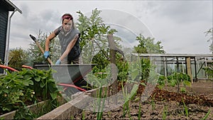 The girl worker  in the garden with a hand cart and a shovel