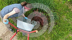 The girl worker in the garden with a hand cart and a shovel