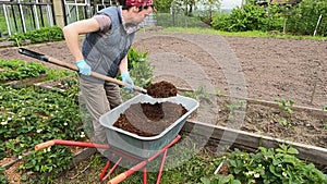 The girl worker  in the garden with a hand cart and a shovel