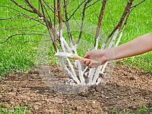 Girl working in the garden