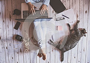 Girl working with her cat from home