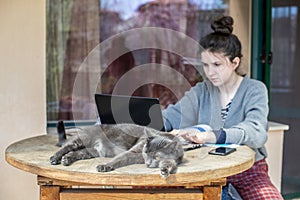 A girl is working on the laptop while the cat is resting