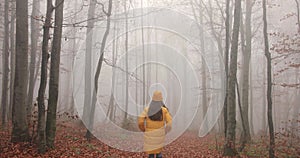 A girl in a yellow raincoat and a knitted hat enjoys an autumn day in the fresh air, walking through the forest. Fog in