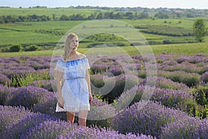 A girl or young woman enjoys a walk through the fresh air and the scent of a lavender field in the sunset