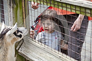 Girl at the zoo