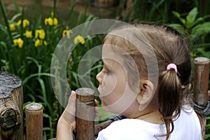 Girl at the Zoo