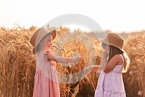 Girlfriends tickle each other`s nose with spikelets of rye. Little girls in straw hat are having fun