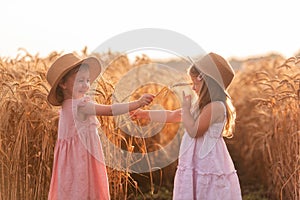 Girlfriends tickle each other`s nose with spikelets of rye. Little girls in straw hat are having fun