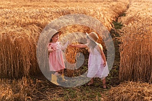 Girlfriends tickle each other`s nose with spikelets of rye. Little girls in straw hat are having fun