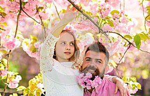 Girlish leisure concept. Father and daughter on happy faces hugs, sakura background. Child and man with tender pink