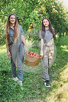 Girls with Apple in the Apple Orchard. Beautiful sisters with Organic Apple in the Orchard. Harvest Concept. Garden, teenagers eat