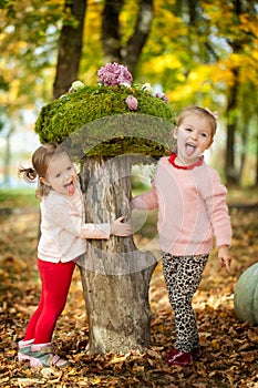 Girls in the autumn park