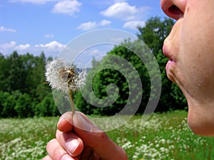 Girls blow the dandelion blossom