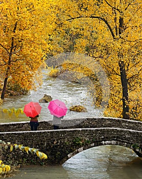 Le ragazze colorato gli ombrelli autunno 