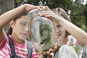 Girls Examining Stick Insects In Jar