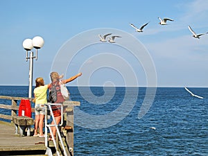 Girls feeding sea gulls