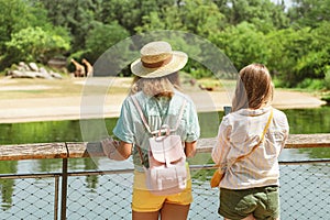 girls friends students looking at animals in the Zoo, leisure and zoology concept