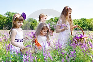 Girls gathering flowers