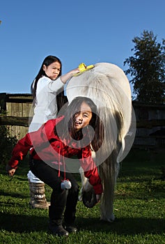 Girls grooming af horse