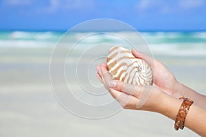 Girls hands holding nautilus shell against sea